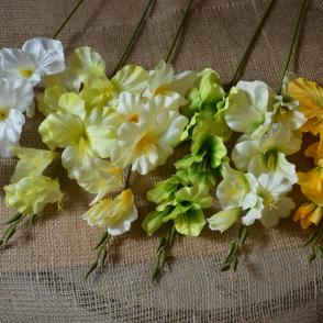 gladiol vetva 2